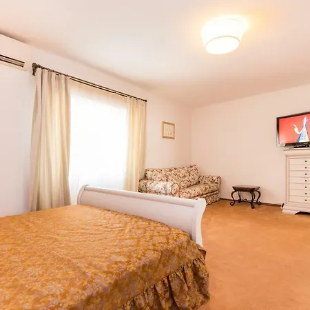 Apartment Studio Savin - Aviatiei